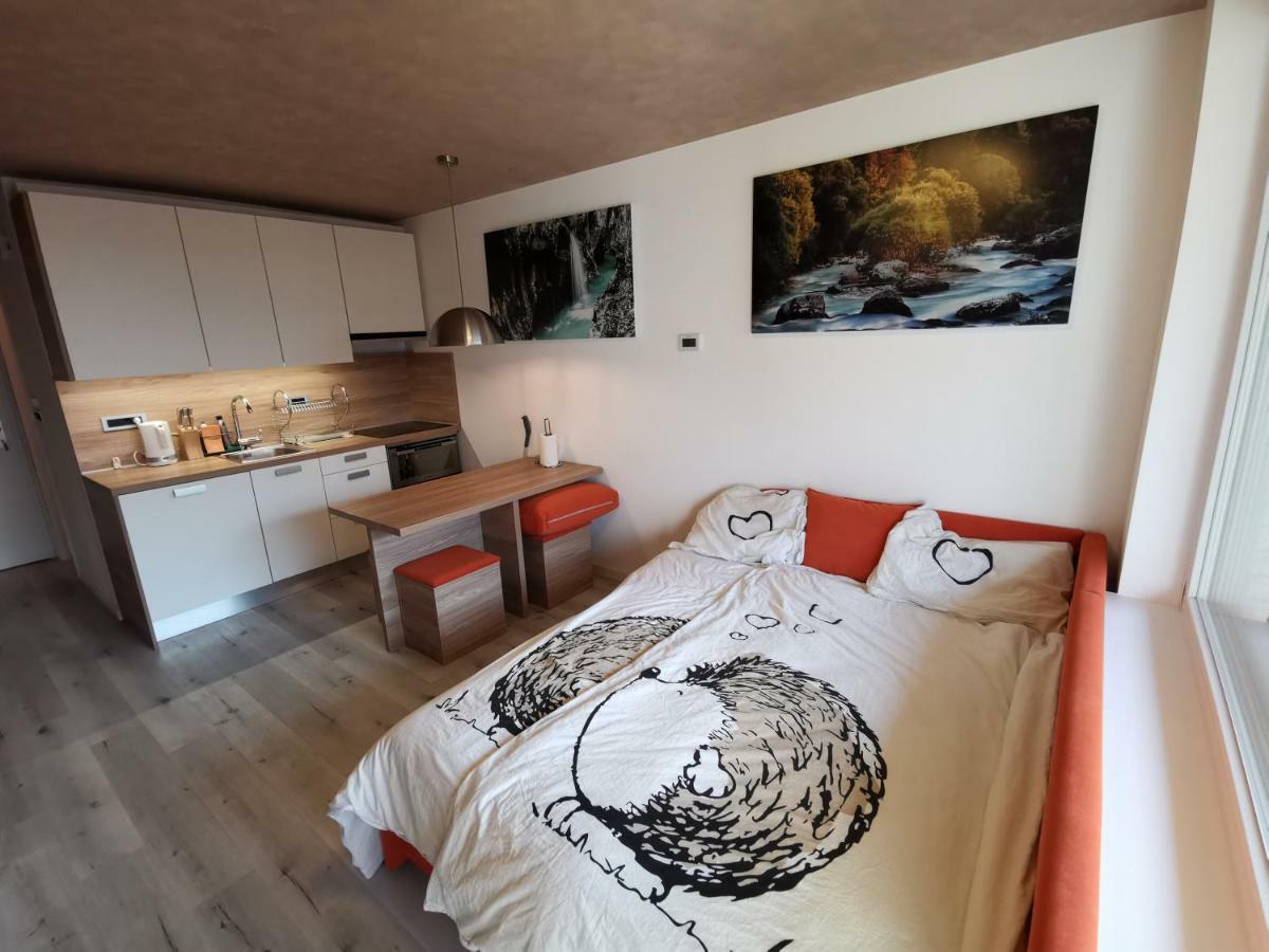 Studio Apartment Jez Бовец Экстерьер фото